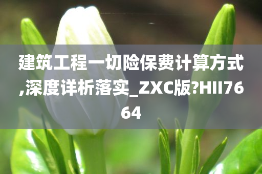 建筑工程一切险保费计算方式,深度详析落实_ZXC版?HII7664
