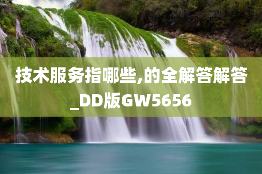 技术服务指哪些,的全解答解答_DD版GW5656