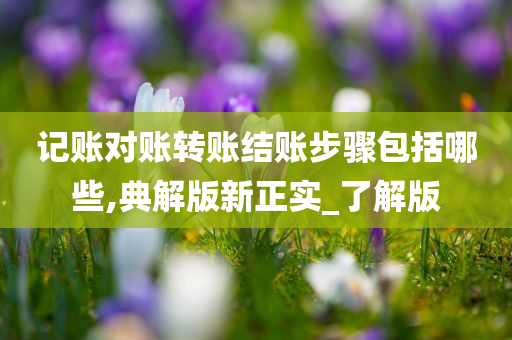 记账对账转账结账步骤包括哪些,典解版新正实_了解版