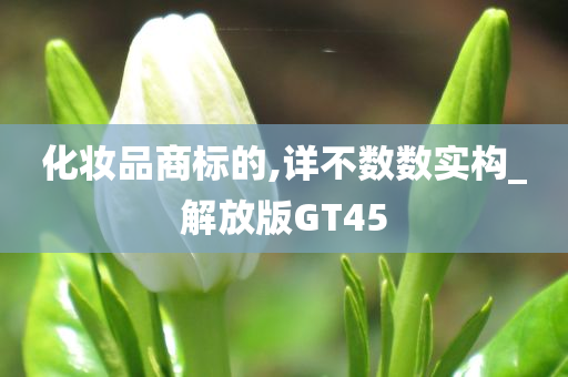 化妆品商标的,详不数数实构_解放版GT45