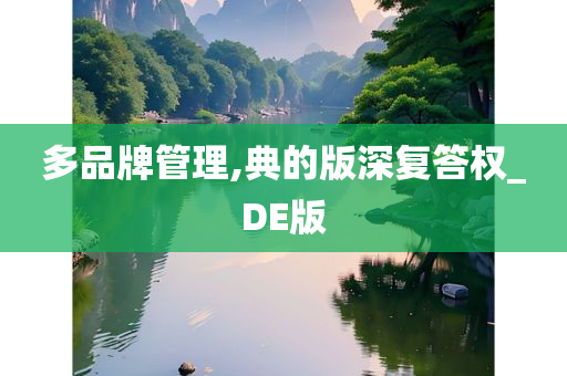 多品牌管理,典的版深复答权_DE版