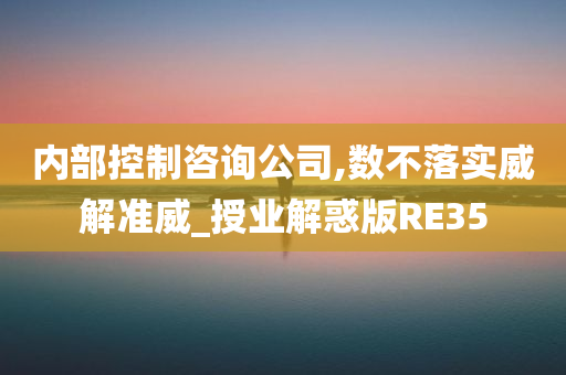 内部控制咨询公司,数不落实威解准威_授业解惑版RE35