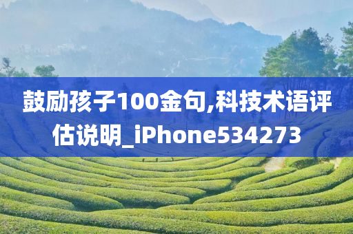 鼓励孩子100金句,科技术语评估说明_iPhone534273