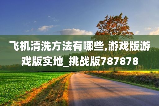 飞机清洗方法有哪些,游戏版游戏版实地_挑战版787878