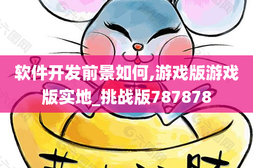 软件开发前景如何,游戏版游戏版实地_挑战版787878