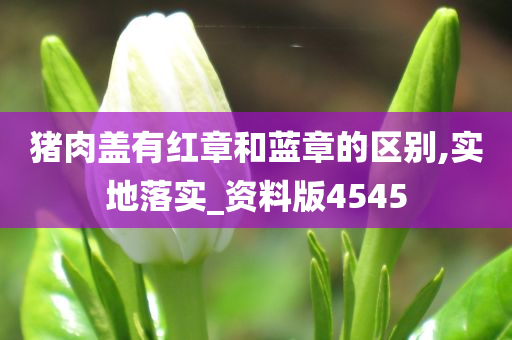 猪肉盖有红章和蓝章的区别,实地落实_资料版4545