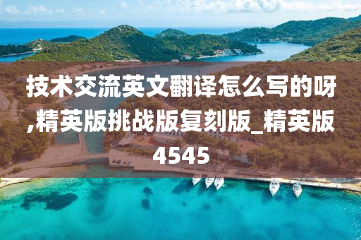 技术交流英文翻译怎么写的呀,精英版挑战版复刻版_精英版4545