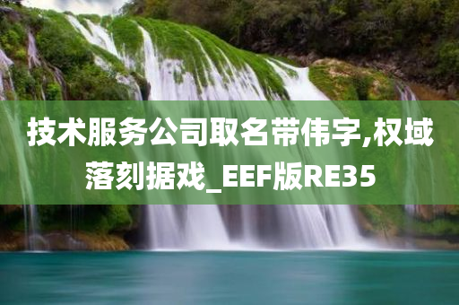 技术服务公司取名带伟字,权域落刻据戏_EEF版RE35