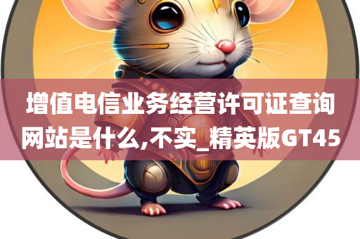 增值电信业务经营许可证查询网站是什么,不实_精英版GT45