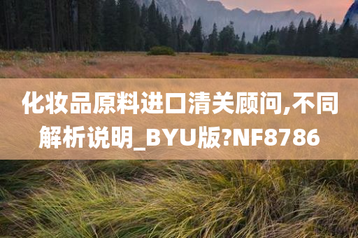 化妆品原料进口清关顾问,不同解析说明_BYU版?NF8786