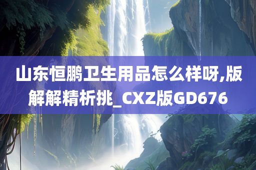 山东恒鹏卫生用品怎么样呀,版解解精析挑_CXZ版GD676