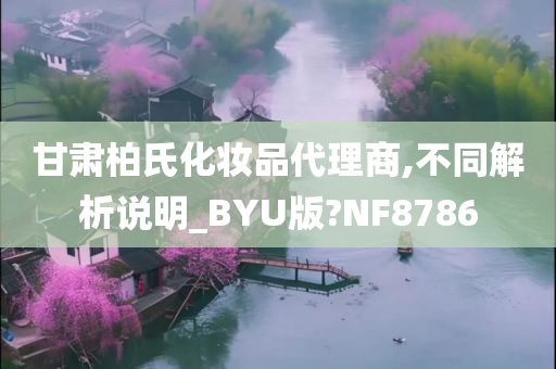 甘肃柏氏化妆品代理商,不同解析说明_BYU版?NF8786