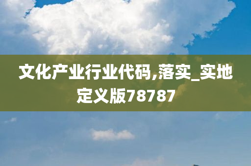 文化产业行业代码,落实_实地定义版78787