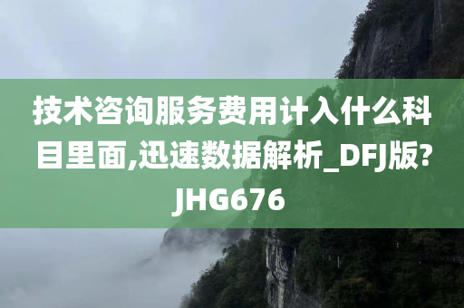 技术咨询服务费用计入什么科目里面,迅速数据解析_DFJ版?JHG676