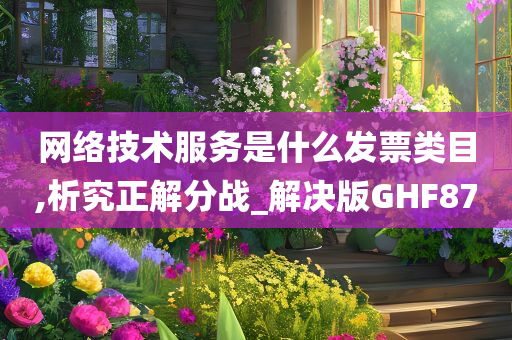 网络技术服务是什么发票类目,析究正解分战_解决版GHF87