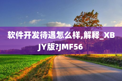 软件开发待遇怎么样,解释_XBJY版?JMF56