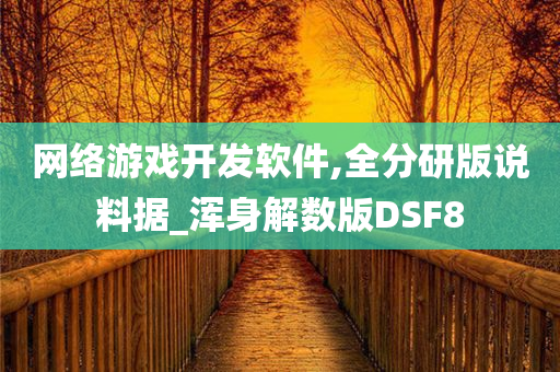 网络游戏开发软件,全分研版说料据_浑身解数版DSF8