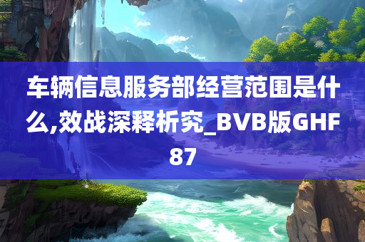 车辆信息服务部经营范围是什么,效战深释析究_BVB版GHF87