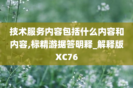 技术服务内容包括什么内容和内容,标精游据答明释_解释版XC76