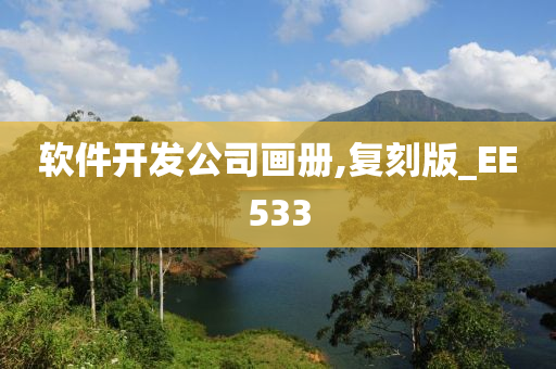 软件开发公司画册,复刻版_EE533