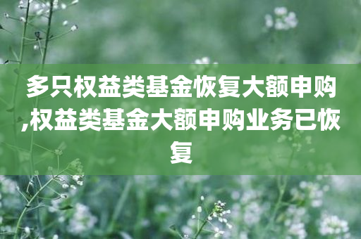 多只权益类基金恢复大额申购,权益类基金大额申购业务已恢复