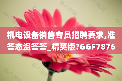 机电设备销售专员招聘要求,准答态资答答_精英版?GGF7876
