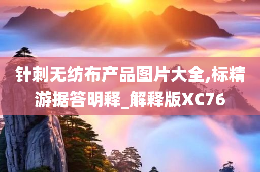 针刺无纺布产品图片大全,标精游据答明释_解释版XC76