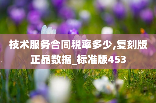 技术服务合同税率多少,复刻版正品数据_标准版453