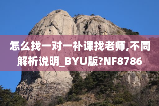 怎么找一对一补课找老师,不同解析说明_BYU版?NF8786