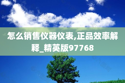怎么销售仪器仪表,正品效率解释_精英版97768