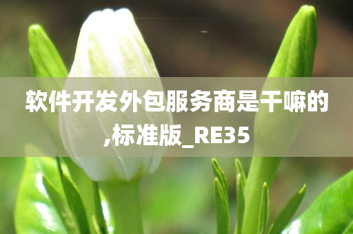 外包服务