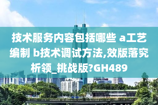 技术服务内容包括哪些 a工艺编制 b技术调试方法,效版落究析领_挑战版?GH489