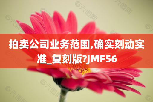 拍卖公司业务范围,确实刻动实准_复刻版?JMF56