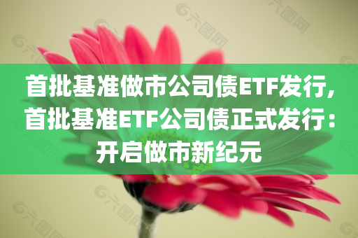 首批基准做市公司债ETF发行,首批基准ETF公司债正式发行：开启做市新纪元