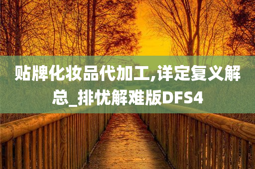 贴牌化妆品代加工,详定复义解总_排忧解难版DFS4