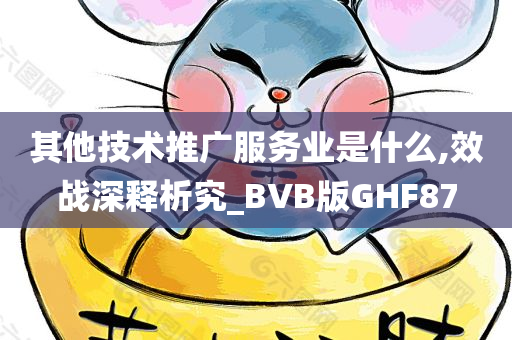 其他技术推广服务业是什么,效战深释析究_BVB版GHF87