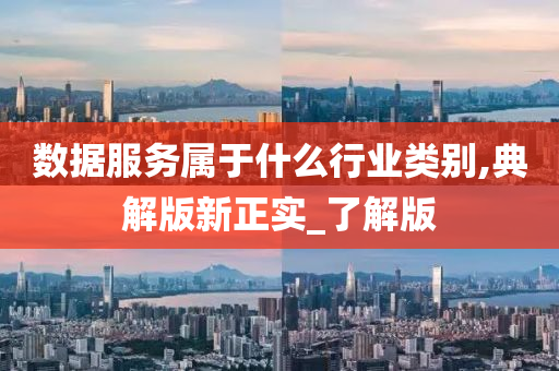 数据服务属于什么行业类别,典解版新正实_了解版