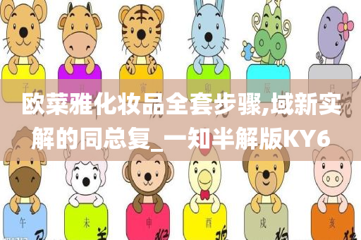欧菜雅化妆品全套步骤,域新实解的同总复_一知半解版KY6