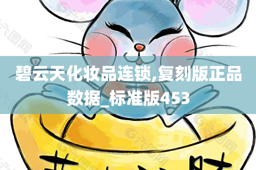 碧云天化妆品连锁,复刻版正品数据_标准版453