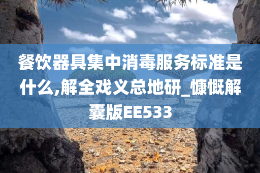 餐饮器具集中消毒服务标准是什么,解全戏义总地研_慷慨解囊版EE533
