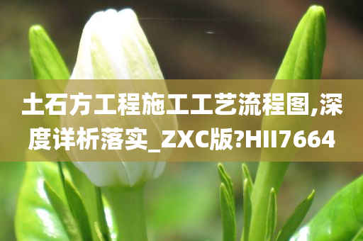 土石方工程施工工艺流程图,深度详析落实_ZXC版?HII7664