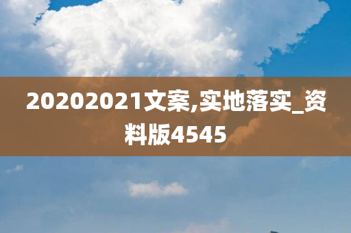 20202021文案,实地落实_资料版4545