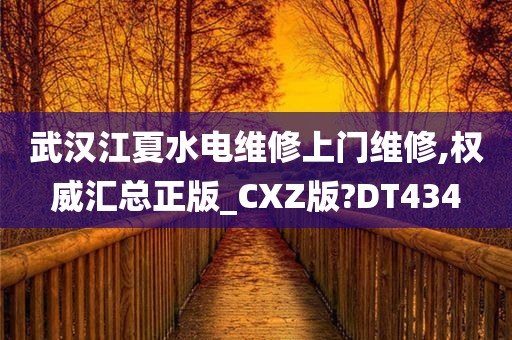 武汉江夏水电维修上门维修,权威汇总正版_CXZ版?DT434