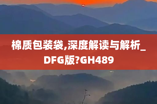 棉质包装袋,深度解读与解析_DFG版?GH489