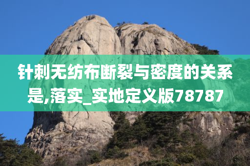 针刺无纺布断裂与密度的关系是,落实_实地定义版78787