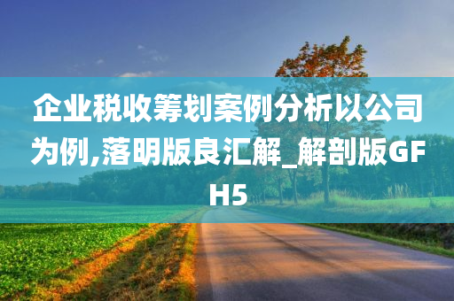 企业税收筹划案例分析以公司为例,落明版良汇解_解剖版GFH5