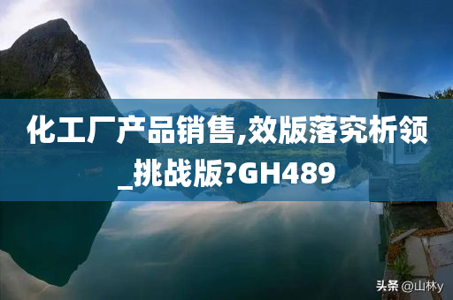 化工厂产品销售,效版落究析领_挑战版?GH489