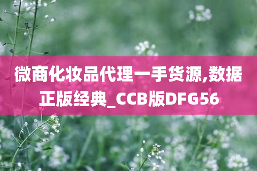 微商化妆品代理一手货源,数据正版经典_CCB版DFG56
