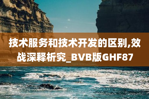 技术服务和技术开发的区别,效战深释析究_BVB版GHF87