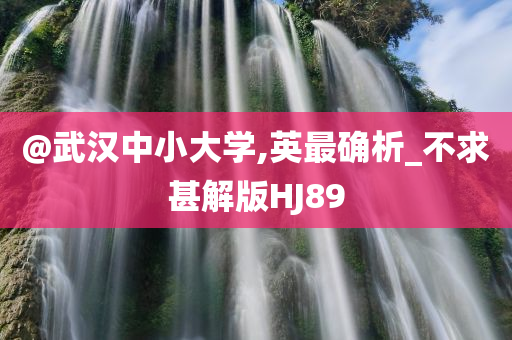 @武汉中小大学,英最确析_不求甚解版HJ89